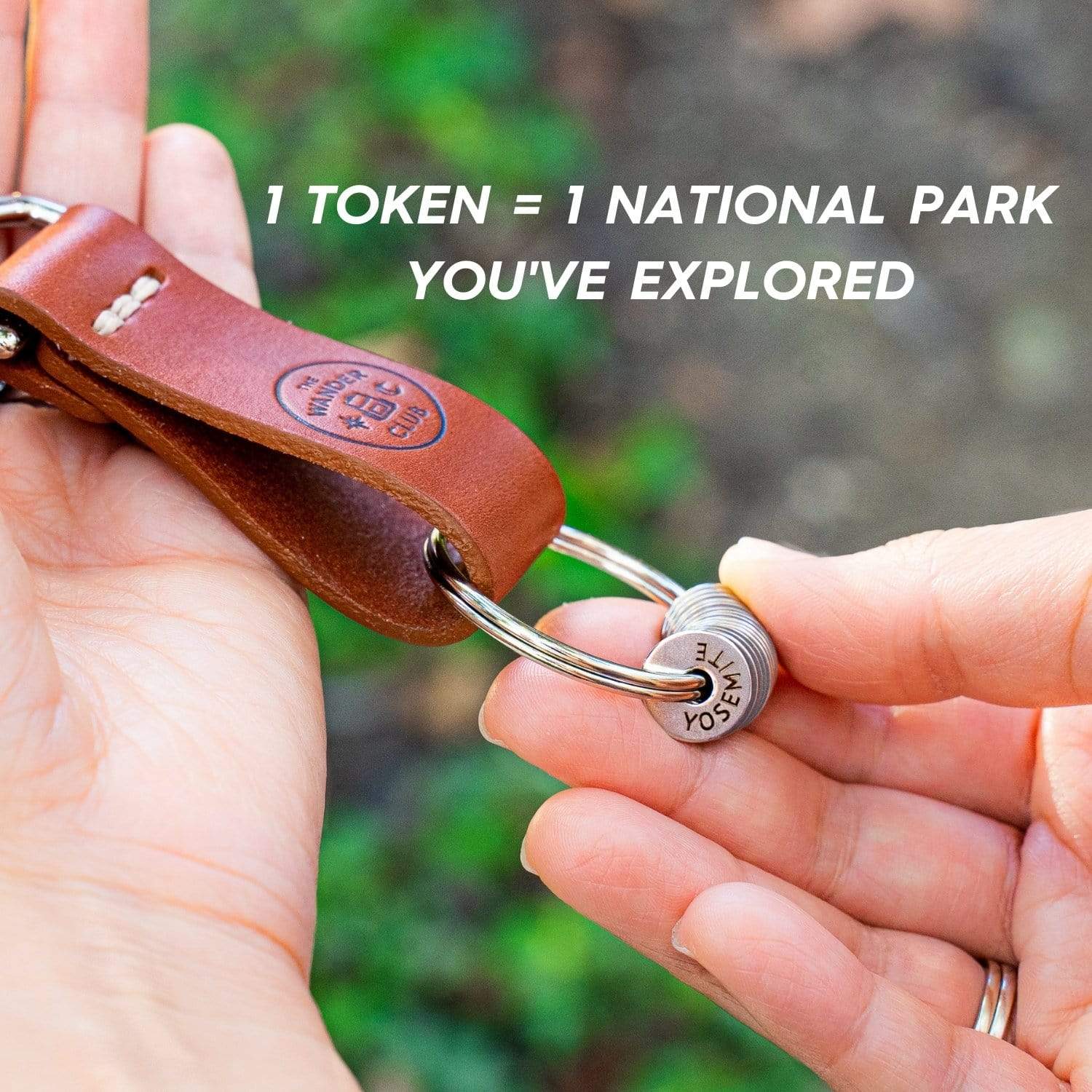 US National Park Tokens (Legacy) - Image 4